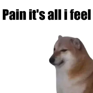 Телеграм стикер 🐶 Sky's