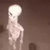 Video sticker 💀 Random pack (@Scar...