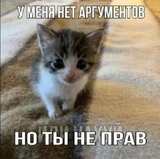 Telegram sticker 🤩 Больше стиков тут: @stikery4