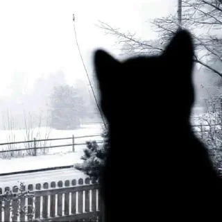 Telegram sticker 🤩 Больше стиков тут: @stikery4