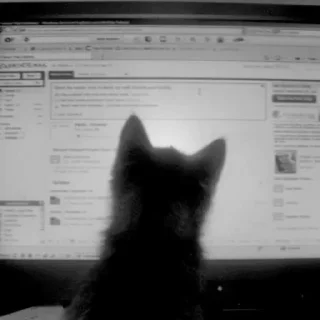 Video sticker 🤩 Больше стиков тут: @stikery4