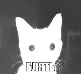 Telegram sticker 🤩 Больше стиков тут: @stikery4