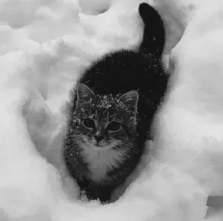 Sticker 🤩 Больше стиков тут: @stikery4