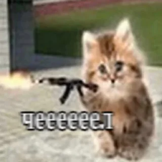 Telegram sticker 🤩 Больше стиков тут: @stikery4