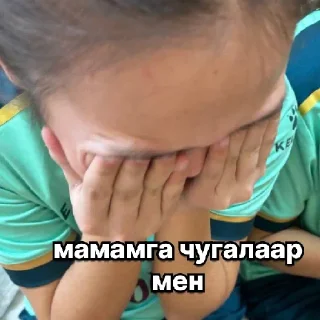 Telegram sticker 😭 ажыгбайлар