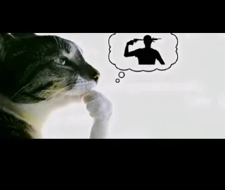 Telegram sticker 🤩 Мэмчики @MoiStikiBot