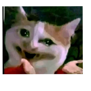 Telegram sticker 😀 ملصقاتي الجميلة