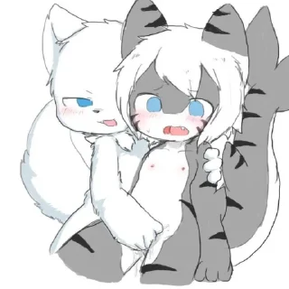 Telegram stiker 😂 Tiger shark 😏 @Ctikerubot