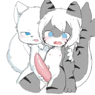 Video sticker 😂 Tiger shark 😏 @Ctikerubot