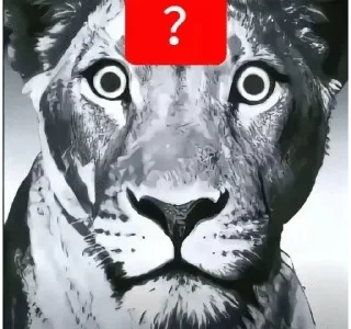 Telegram sticker 🌟 Kris β