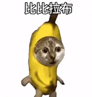 Video sticker 🌟 Kris β