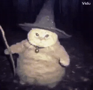 Video sticker 😄 Wizard Cat ETH