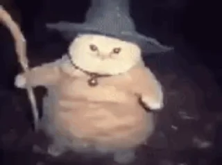 Video sticker 🔫 Wizard Cat ETH