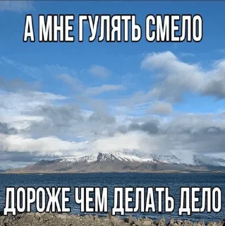 Video sticker 😎 кулебяка