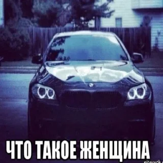Sticker ❔ кулебяка