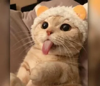 Telegram sticker 🔥 GujjuBot1029215520