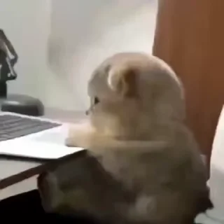 Телеграм стикер 😐 Memes 25 @SvSticker