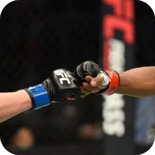 Telegram sticker 🤝 UFC🤘😈 ➡️ @EmojiRuBot