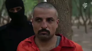 Video sticker 😍 Video Favorite stickers :: @fStikBot