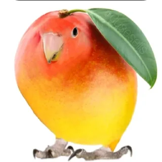 Sticker 🐦 Интересный попугайчик