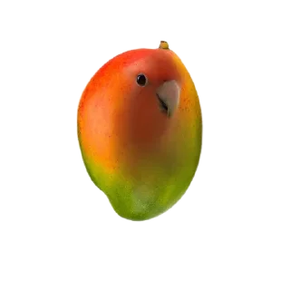 Video sticker 🍲 Интересный попугайчик