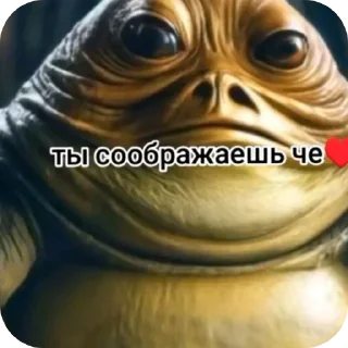 Telegram stiker 👄 Интересный попугайчик