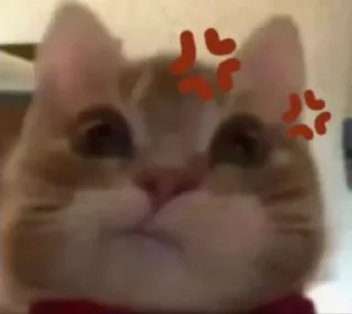 Telegram sticker 🤬 naren's pack :: @fStikBot