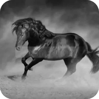 Telegram sticker 🫥 Pudge :: @fStikBot