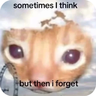 Video sticker 🤲 @infp_claraqt