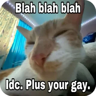 Video sticker 🐱 @infp_claraqt