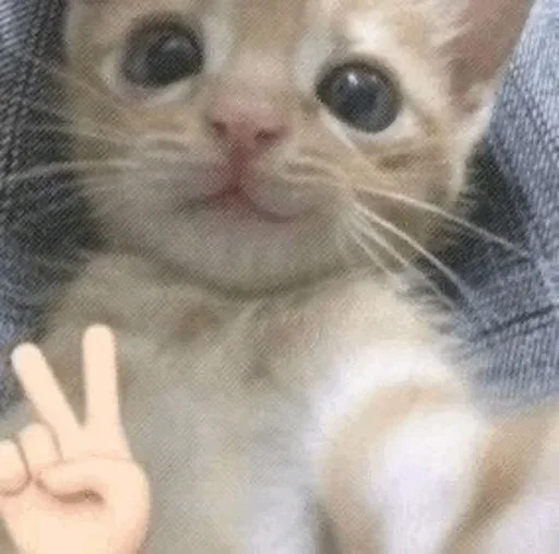 Telegram stiker 🌟 Лёгкий наркотик ⛴️🚜🛀