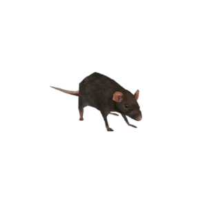 Video sticker 🐀 Умпалумпа