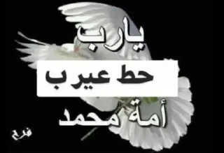 Video sticker 🔥 Just karar