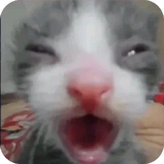 Video sticker 🫥 olala