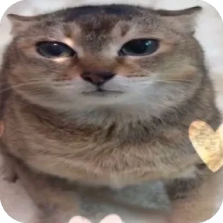Telegram sticker 🫥 olala