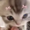 Video sticker 🌟 random ➜ @emoji1