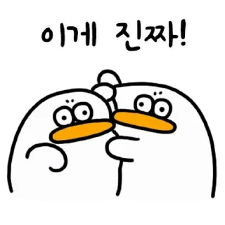 Video sticker ⭐ 오둥이입니다만 16 @moe_sticker_bot