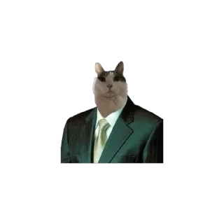 Telegram sticker 🐈 rainbit001 :: @fStikBot