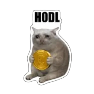 Video sticker 🫥 $CASHCAT @cashcat_robinhood by @wandogim