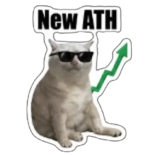 Telegram sticker 🫥 $CASHCAT @cashcat_robinhood by @wandogim