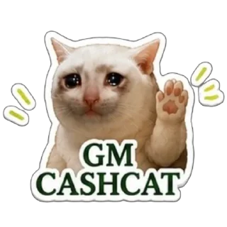 Sticker 🫥 $CASHCAT @cashcat_robinhood by @wandogim