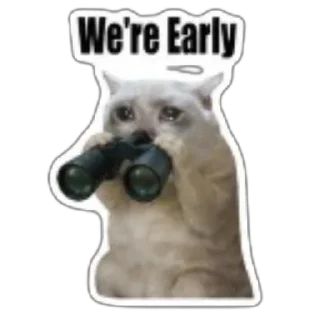 Telegram sticker 🫥 $CASHCAT @cashcat_robinhood by @wandogim