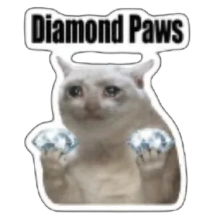 Telegram sticker 🫥 $CASHCAT @cashcat_robinhood by @wandogim