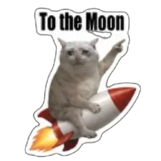 Telegram sticker 🫥 $CASHCAT @cashcat_robinhood by @wandogim