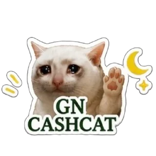 Video sticker 🫥 $CASHCAT @cashcat_robinhood by @wandogim