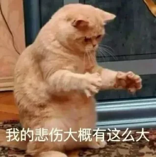 Telegram sticker 😒 牧辰::  @MC6080