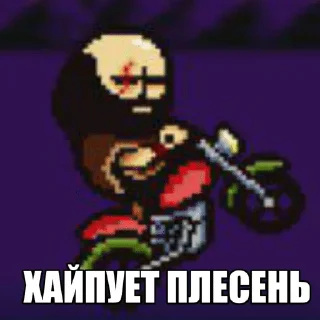 Telegram sticker 🌟 Нихуя не изучено :: @fStikBot