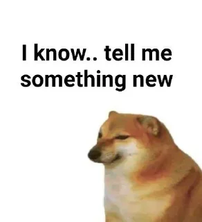 Telegram sticker 😂 Tweety ⋆.𐙚˚'s