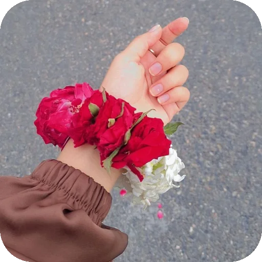 Telegram stiker ✋ —͟͞͞❥𝙂𝐇𝐎𝐒𝐓♰ᥫ᭡፝֟፝֟'stickers