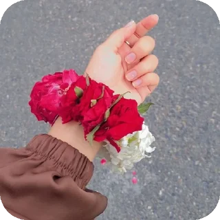 Video sticker ✋ —͟͞͞❥𝙂𝐇𝐎𝐒𝐓♰ᥫ᭡፝֟፝֟'stickers